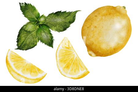 Zitronen-Aquarellset. Handgezeichnete tropische Sauerfrucht mit Minzblättern. Clip-Art aus saftiger gelber Limette. Zitrusfrüchte auf isoliertem weißem Hintergrund. Ideal für Stockfoto