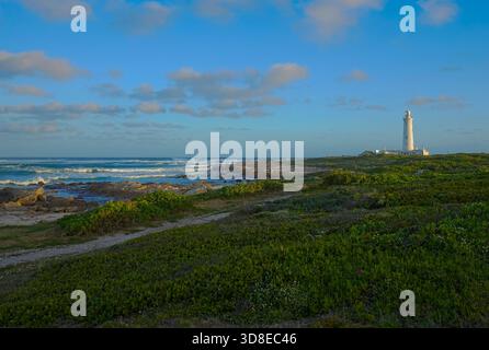 Seal Point Leuchtturm, Eastern Cape. Stockfoto