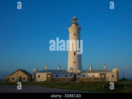 Seal Point Leuchtturm, Eastern Cape. Stockfoto