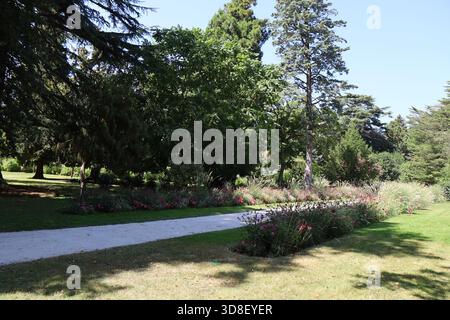 Le jardin de Massey, parc Public, ville de Tarbes, Département des Hautes Pyrénées, Frankreich Stockfoto