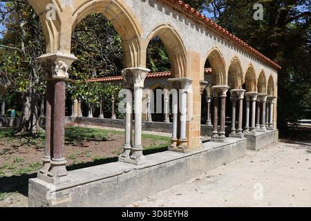 Le jardin de Massey, parc Public, ville de Tarbes, Département des Hautes Pyrénées, Frankreich Stockfoto