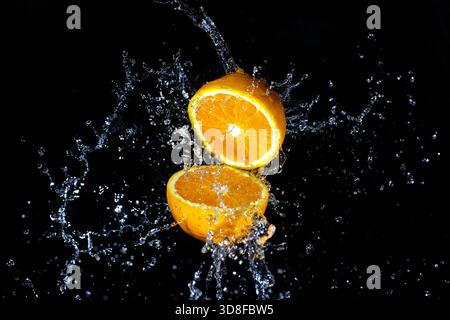 Frisch geöffnete Orangenfrüchte mit Wasserspritzern auf schwarzem Hintergrund. Stockfoto
