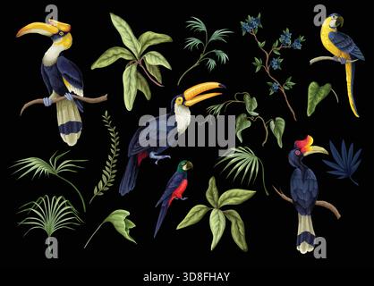 Tropische Vögel Vektor isoliert exotische Papageien Tukane Kakadus bunte Tierwelt Illustration Sammlung Set Stock Vektor