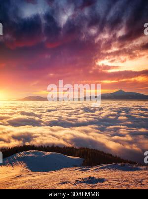Fantastischer Blick auf das Tal mit dichtem Nebel. Standort Karpaten Berg, Ukraine, Europa. Magische winterliche Szene. Fabelhafte Wintertapete Stockfoto