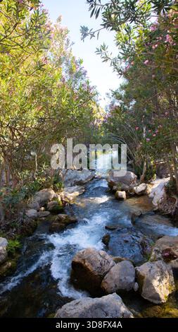 Ein ruhiger Fluss fließt durch üppiges Grün und lebendige Blumen und schafft eine friedliche natürliche Landschaft mit glatten Felsen und sanften Wasserströmungen Stockfoto
