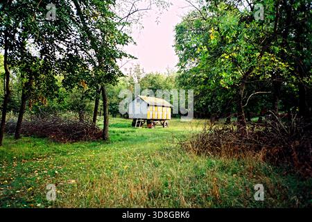 Anhänger gefüllt mit Bienenstöcken, die in einer Waldlichtung stehen, aufgenommen in einem rustikalen Analog-Foto. Stockfoto
