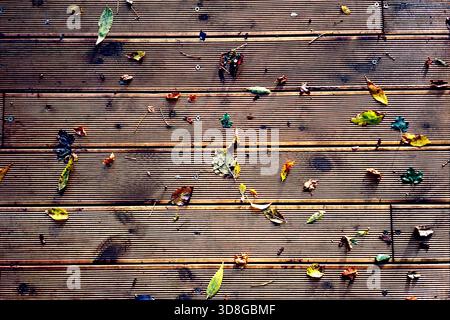 Gefallene bunte Blätter verstreut über Dockbeläge, aufgenommen in einem warmen, analogen Schnappschuss. Stockfoto