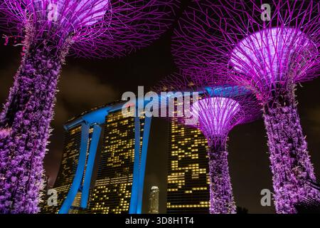 Blick auf die berühmten Gebäude der Singapore Marina Bay Sands und die violetten beleuchteten Supertree Groves, die am Abend zu sehen sind Stockfoto
