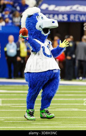 Indianapolis, Indiana, USA. November 2025 30. Indianapolis Colts Maskottchen Blue während des Vorspiels der NFL gegen die Houston Texans im Lucas Oil Stadium in Indianapolis, Indiana. John Mersits/CSM/Alamy Live News Stockfoto
