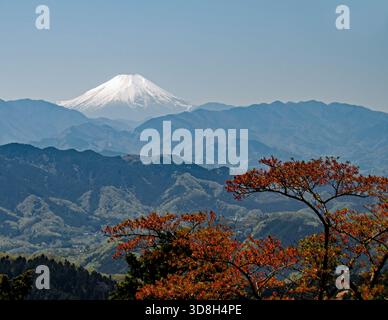 Berg Fuji von Takao Japan aus gesehen Stockfoto