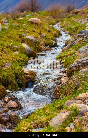 Nahaufnahme eines kleinen, klaren Baches mit frischem Wasser, das über moosbedeckte Felsen fließt und von grünem Gras umgeben ist. Stockfoto