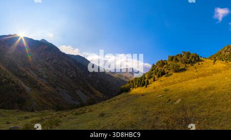 Ein malerischer Blick fängt ein Bergtal mit sanften Grashängen ein, einige im Schatten und andere im Sonnenlicht. Immergrüne Bäume säumen den sonnigen Hang. Die Sonne scheint hell hinter einem Berggipfel und erzeugt Strahlen am blauen Himmel mit verstreuten weißen Wolken. Stockfoto