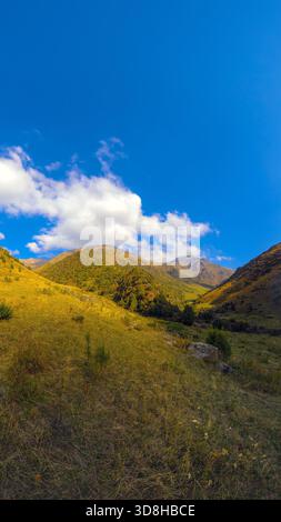 Ein malerischer Blick fängt ein Bergtal mit sanften Hügeln ein, die mit gelbem und grünem Gras bedeckt sind. Bäume sind in der Landschaft verstreut. Der Himmel darüber ist ein klares Blau mit flauschigen weißen Wolken. Stockfoto