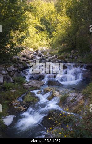 Helles Sonnenlicht filtert durch die dicken Bäume im Hexenwald. Ein klarer Bach fließt sanft über Felsen und schafft eine ruhige Atmosphäre in Vall d Stockfoto