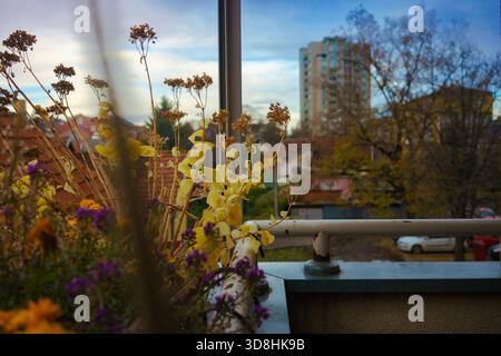 Tagsüber stehen auf der Terrasse Herbstblumen, Blick auf die Umgebung. Stockfoto