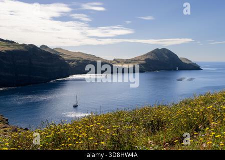 Wildblumen blühen über dem blauen Atlantik am Sao Lourenco Point auf Madeira, mit Klippen, einem einsamen Segelboot und Muschelkäfigen, die in der Nähe des Felsens glitzern Stockfoto