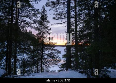 Wintersonnenuntergang über dem gefrorenen See durch dunkle Waldbäume in lappland Stockfoto