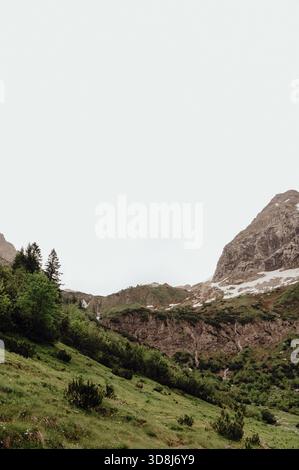 Alpenweg durch Wildblumenwiese mit Berggipfeln der Allgäuer Alpen Stockfoto
