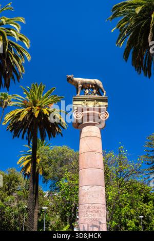 Statue des Kapitolinischen Wolfes Lupa Capitolina auf einer Säule im Parque Italia, Valparaiso. Palmen umrahmen das Denkmal unter blauem Himmel Stockfoto