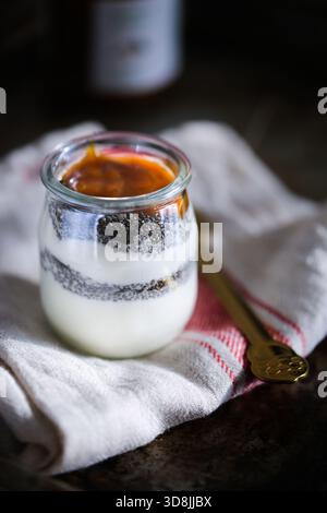 Griechischer Joghurt mit Chiasamen und Pflaumenmarmelade, serviert in einem klaren Glas, ein gesunder und köstlicher Snack Stockfoto