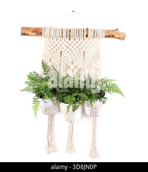 Schöne Topfpflanzen hängen in Makramee-Pflanzgefäßen isoliert auf weiß Stockfoto