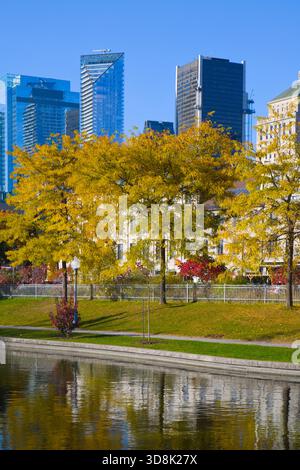 Old Montreal, Downtown, Vieux Port, Jahreszeiten, Reisen, Quebec, Kanada, Herbstlaub, Montreal, Nordamerika, Skyline Stockfoto