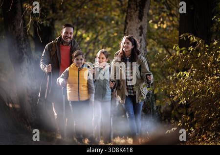 Vierköpfige Familie spaziert durch den sonnigen Wald, genießt ihre Wanderung, während sie Wanderstöcke trägt und tagsüber zusammen lächelt Stockfoto