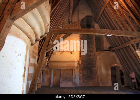 Frankreich, Bourgogne franche comte, Departement cote d'Or (21), Schloss Chateauneuf Stockfoto