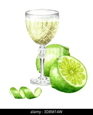 Likör oder Tinktur von Limoncello in einem Kristallglas mit frischer Limette. Handgezeichnete Aquarellillustration, isoliert auf weißem Hintergrund Stockfoto