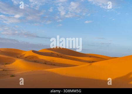 Blick auf die Sahara-Wüste in Marokko, Afrika. Die Sahara-Wüste ist die größte heiße Wüste der Welt. Stockfoto