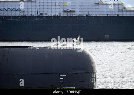 Russisches U-Boot im Hamburger Hafen. Altes russisches U-Boot mit Möwen im Hamburger Hafen. Landungsbrücken. Stockfoto