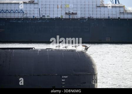 Russisches U-Boot im Hamburger Hafen. Altes russisches U-Boot mit Möwen im Hamburger Hafen. Landungsbrücken. Stockfoto