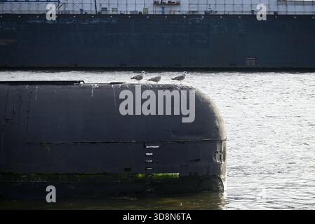 Russisches U-Boot im Hamburger Hafen. Altes russisches U-Boot mit Möwen im Hamburger Hafen. Landungsbrücken. Stockfoto