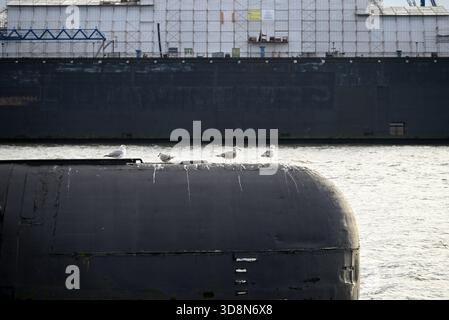 Russisches U-Boot im Hamburger Hafen. Altes russisches U-Boot mit Möwen im Hamburger Hafen. Landungsbrücken. Stockfoto