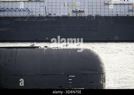 Russisches U-Boot im Hamburger Hafen. Altes russisches U-Boot mit Möwen im Hamburger Hafen. Landungsbrücken. Stockfoto