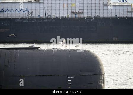 Russisches U-Boot im Hamburger Hafen. Altes russisches U-Boot mit Möwen im Hamburger Hafen. Landungsbrücken. Stockfoto