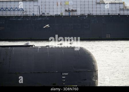 Russisches U-Boot im Hamburger Hafen. Altes russisches U-Boot mit Möwen im Hamburger Hafen. Landungsbrücken. Stockfoto