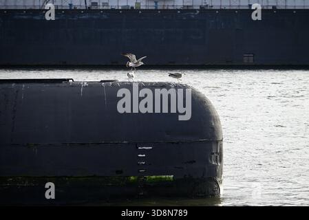 Russisches U-Boot im Hamburger Hafen. Altes russisches U-Boot mit Möwen im Hamburger Hafen. Landungsbrücken. Stockfoto