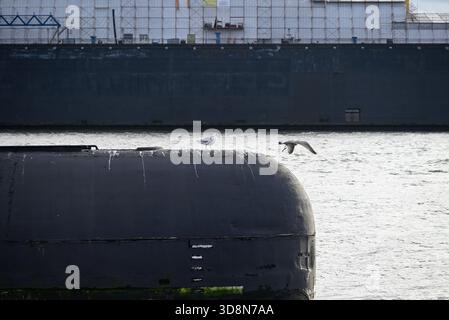 Russisches U-Boot im Hamburger Hafen. Altes russisches U-Boot mit Möwen im Hamburger Hafen. Landungsbrücken. Stockfoto