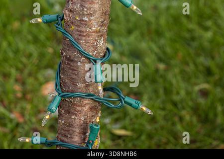 Weihnachtslichter, die draußen an Bäumen hängen. Weihnachten Weihnachtsdekoration Sicherheits- und Außenbeleuchtungskonzept. Stockfoto