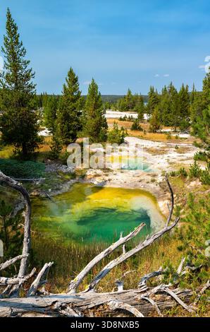 Bluebell und Seismograph Pools liegen im West Thumb Geyser Basin im Yellowstone National Park Wyoming. Geothermische Quellen bieten klares blaues Wasser und felsige Kanten nahe dem Yellowstone Lake an sonnigen Tagen Stockfoto