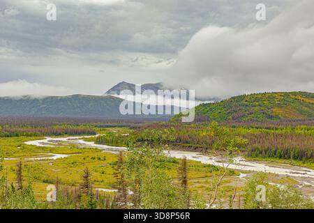 Ein sich windender Fluss fließt durch ein üppiges grünes Tal mit wolkenbedeckten Bergen, die sich in der Nähe von Talkeetna, Alaska, erheben. Stockfoto