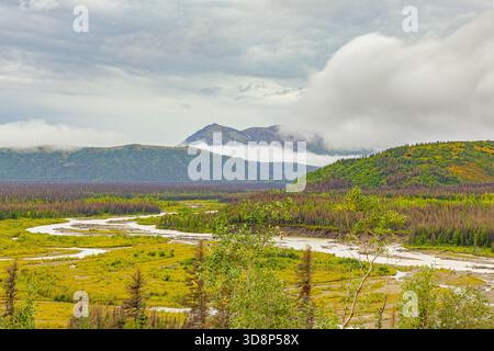 Ein sich windender Fluss fließt durch ein üppiges grünes Tal mit wolkenbedeckten Bergen, die sich in der Nähe von Talkeetna, Alaska, erheben. Stockfoto