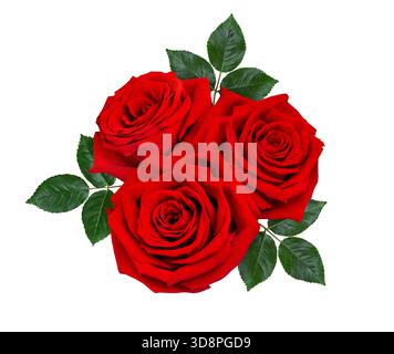 Blumenstrauß von drei roten Rosenblüten mit grünen Blättern auf weißem Hintergrund. Blumenarrangements, Blumenstrauß mit roten Gartenblumen. Stockfoto