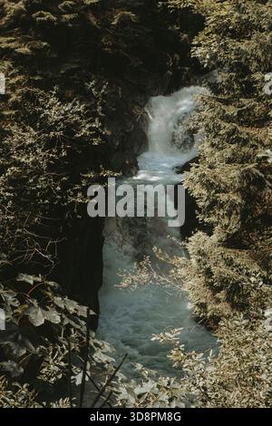Ein kleiner Wasserfall, der durch einen üppigen Alpenwald fließt, umgeben von Felsen, Moos und dichten Bäumen. Stockfoto