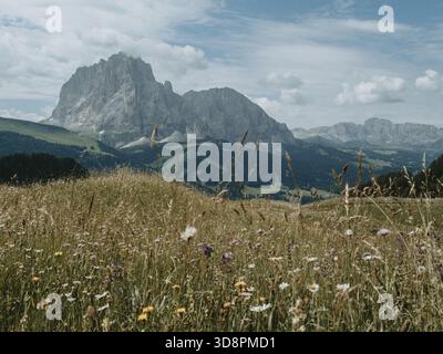 Ein Panoramablick auf die zerklüfteten Gipfel und Täler der Dolomiten vom Seceda-Wanderweg in Norditalien Stockfoto