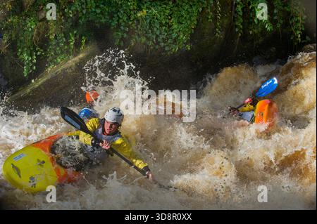 Kajakfahren auf dem Fluss Crana, Buncrana, County Donegal, Irland, Inishowen Stockfoto