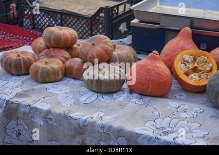 Lebendige Präsentation verschiedener Kürbisse auf einem italienischen Markt, mit lokalen Produkten, saisonalen Aromen und authentischer Reisetmosphäre. Stockfoto