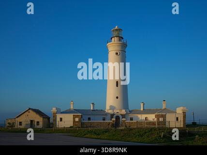 Seal Point Leuchtturm, Eastern Cape. Stockfoto