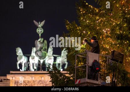 Der große Weihnachtsbaum vor dem Brandenburger Tor am Pariser Platz ist mit Lichtern geschmückt, Berlin Stockfoto